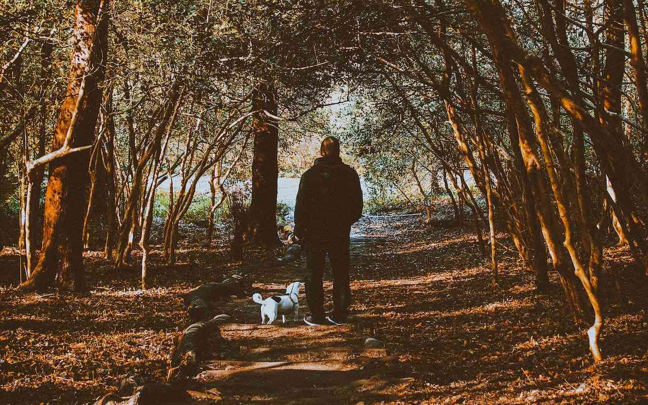 Man with a mental illness age 50 walking dog on a trail in a forested park.