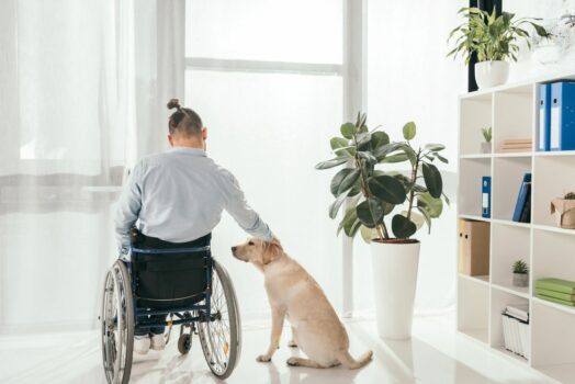 Man in a wheelchair petting his Labrador retriever dog while looking out the window.