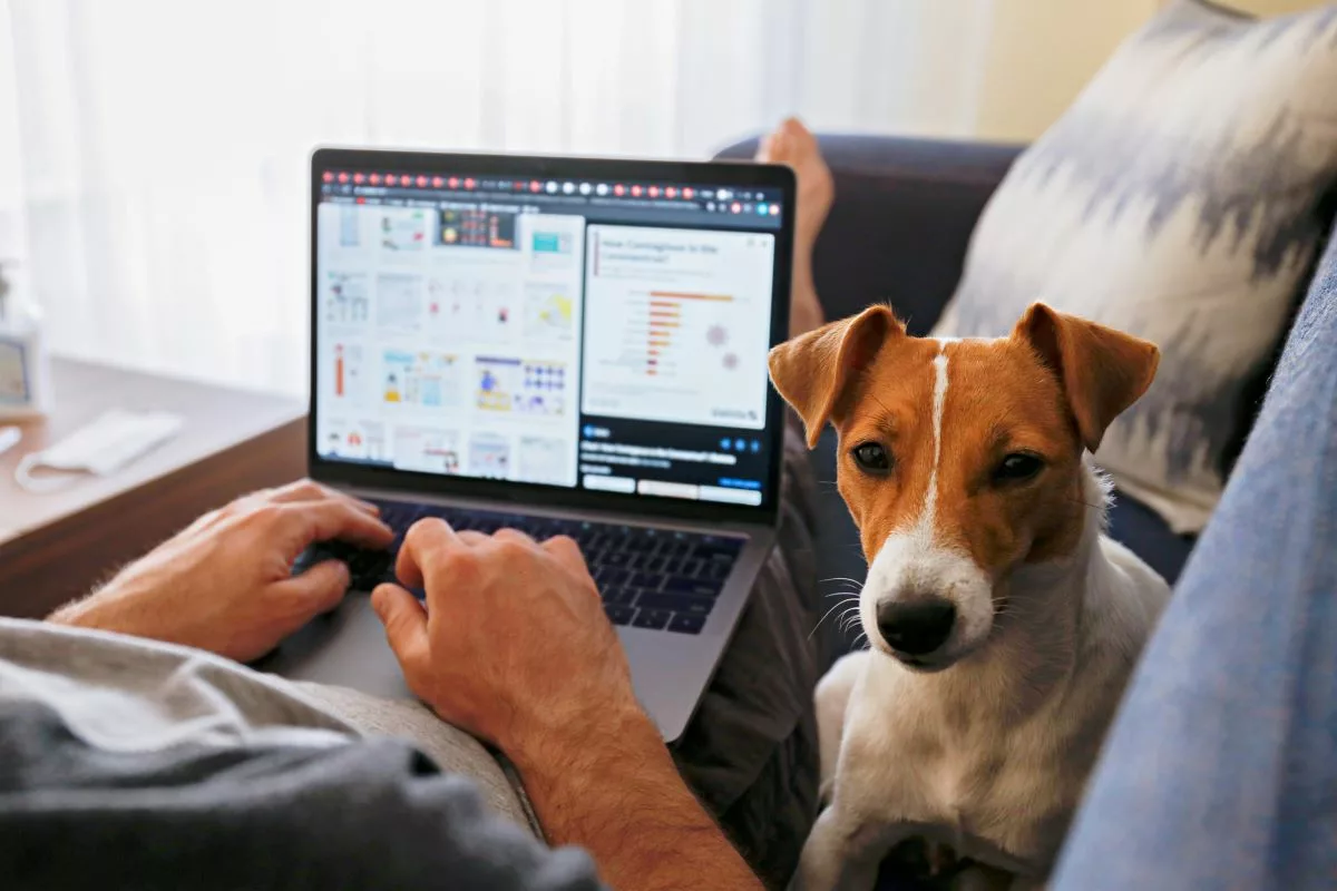 Man with a chronic illness working from home on his sofa with his dog beside him.