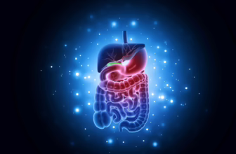 Digestive system.