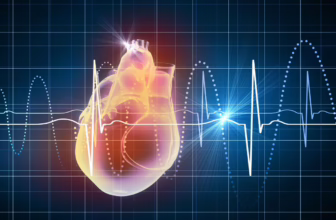 Heart with echocardiogram