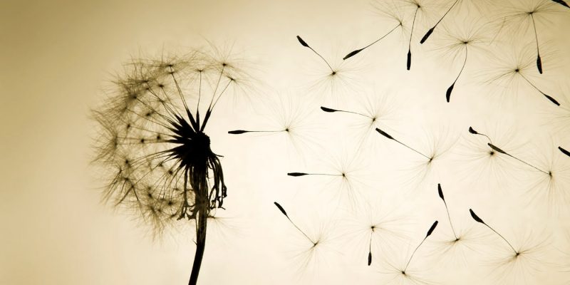 Finding Hope After Losing Everything Because of Illness