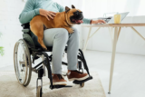 How Owning a Dog When You’re Disabled Can Improve Your Well-Being