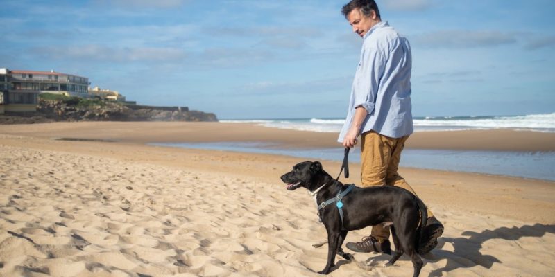 6 of the Most Important Things You Can Do to Maintain Good Mental Health
