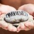 4 Signs of PTSD in War Veterans: How to Seek Help