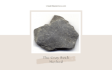 The Gray Rock Method: A Tool to Deal with Narcissistic and Abusive People
