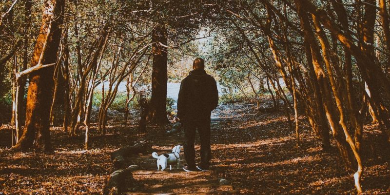 Reflections on Turning 50 as Someone with a Mental Illness